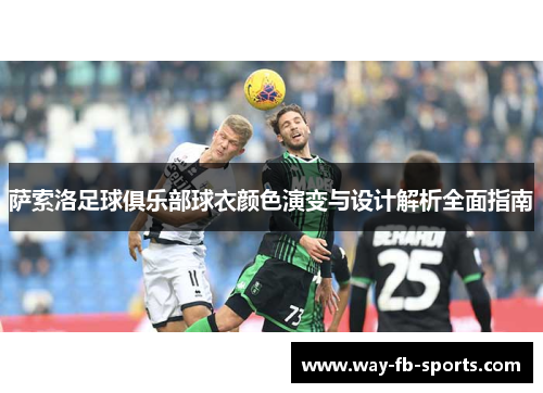 萨索洛足球俱乐部球衣颜色演变与设计解析全面指南