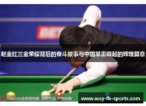 赵金红三金荣耀背后的奋斗故事与中国举重崛起的辉煌篇章 赵金红三金荣耀背后的奋斗故事与中国举重崛起的辉煌篇章