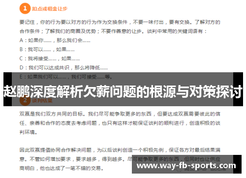赵鹏深度解析欠薪问题的根源与对策探讨