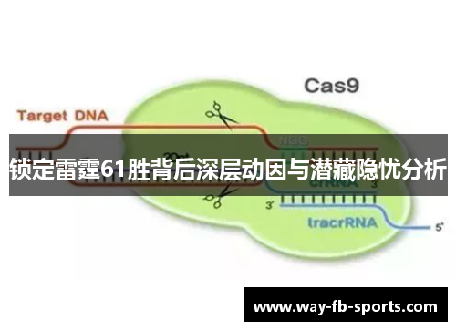 锁定雷霆61胜背后深层动因与潜藏隐忧分析 锁定雷霆61胜背后深层动因与潜藏隐忧分析